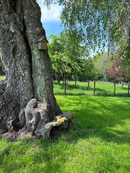 Beautiful 2 Bed Oast - 15 Acre Farm - Tunbridge Wells Villa Buitenkant foto